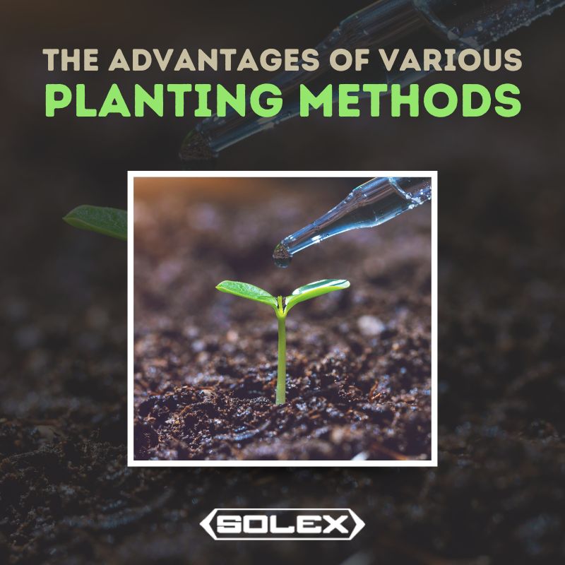 The Advantages of Various Planting Methods
